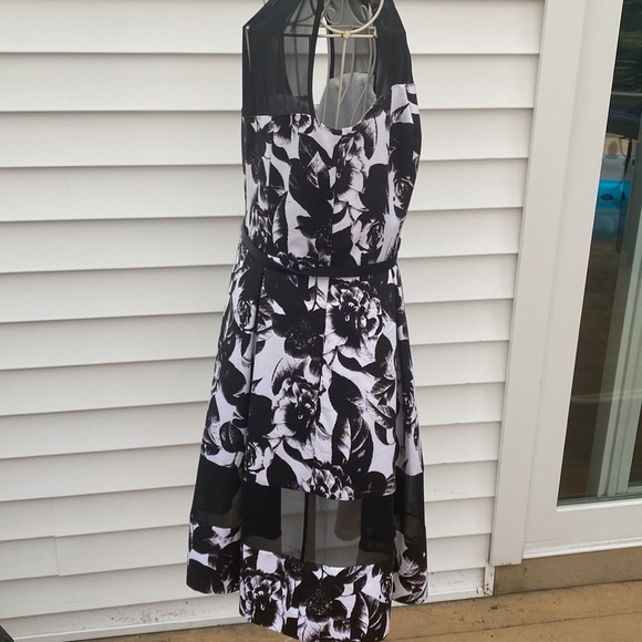 White House black market beautiful dress new with tags - Picture 6 of 9